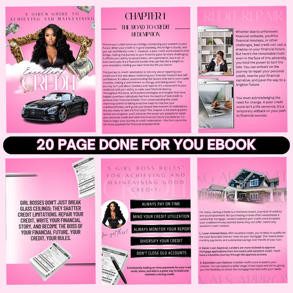 PLR,  Credit Repair Ebook, White Label Planner,  Done For You, Credit Ebook, editable, canva template, A Girls Guide to credit repair